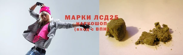 гидропоника Покровск