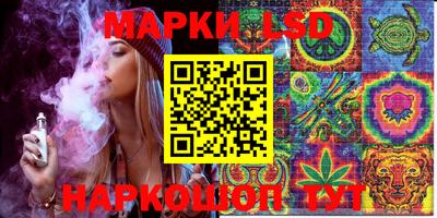 гашик Нарткала