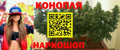 ECSTASY Нальчик