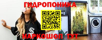 спиды Волгодонск