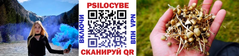 Галлюциногенные грибы MAGIC MUSHROOMS  KRAKEN как зайти  shop Telegram  Азов 