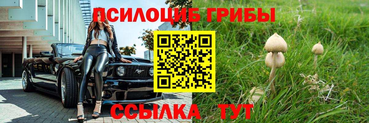 Азов  Галлюциногенные грибы Psilocybine cubensis  Вход с VPN 