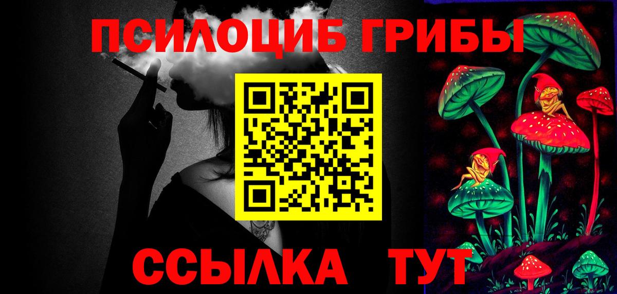 Псилоцибиновые грибы Psilocybine cubensis Азов