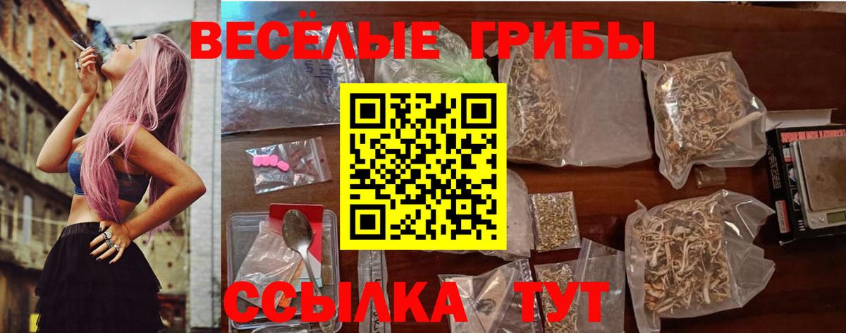 Псилоцибиновые грибы Magic Shrooms  Азов  Галлюциногенные грибы Cubensis 